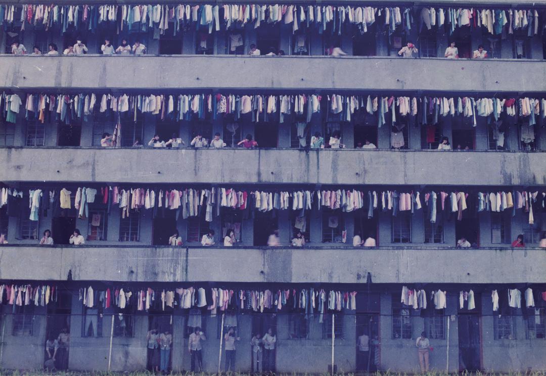 东莞市摄影家协会40周年庆典,摄影家协会成立筹备