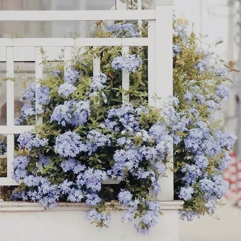 一家中古奢侈品店里的人生06集,一家中古奢侈品店里的人生08集