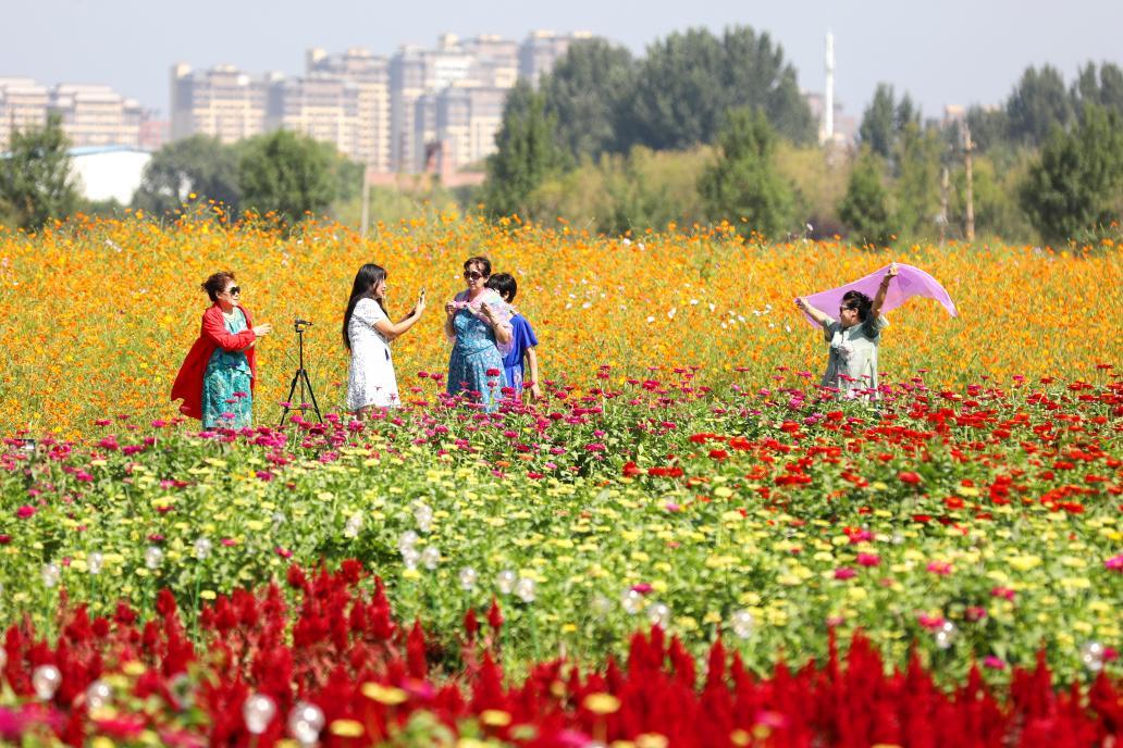 沈抚有花海,沈抚浪漫花海