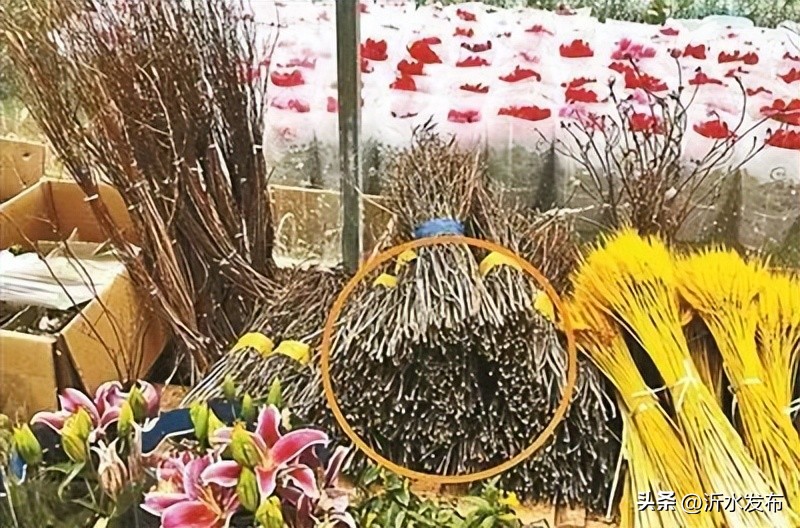 不要买它！“有毒，还违法！”