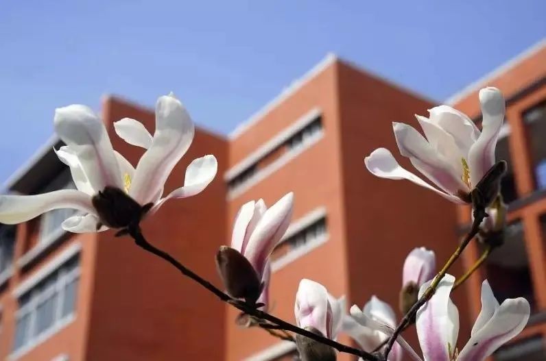 国家专项计划郑州大学,国家对郑州大学的支持力度怎么样