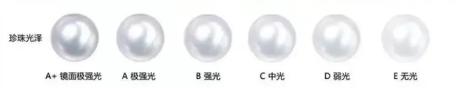 最贵的珍珠是哪种珍珠,世界最大的珍珠品种