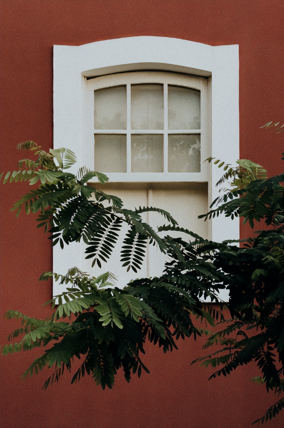 如何走出自己的迷茫和悲伤,越来越迷茫不知道自己该怎么办