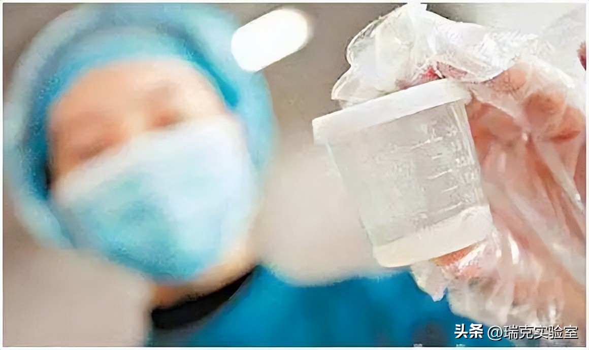 日本最强“配种王”一年捐精百次：日本为了“小蝌蚪”有多疯狂？