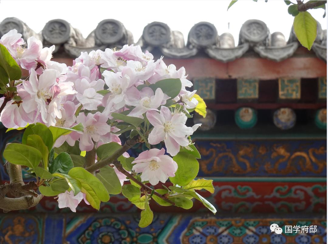 以春风送暖开头的诗句大全,描写春日暖阳的现代诗句