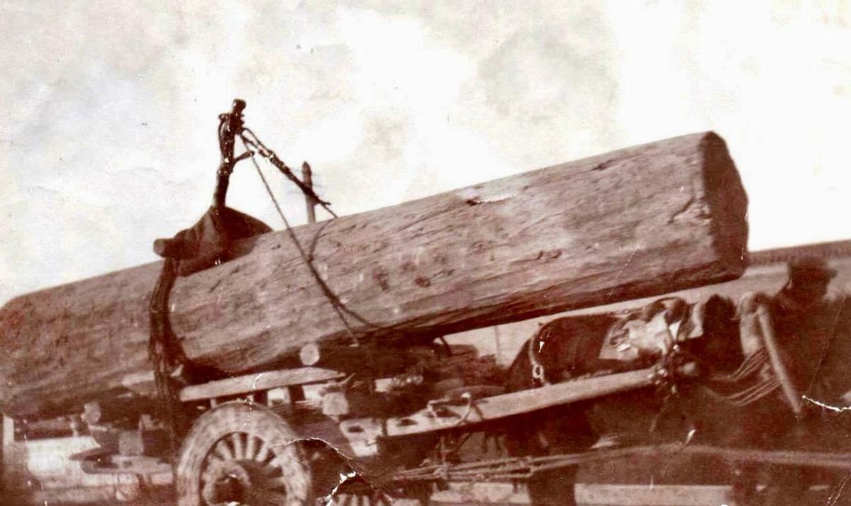 日军找“花姑娘”有多少*行暴**？老人回忆：日本兵没有一点人性