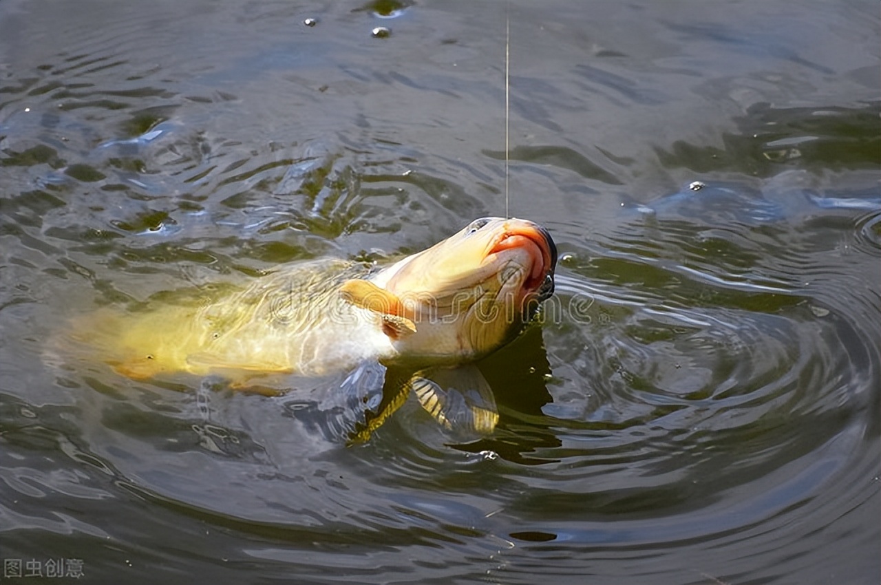 打了窝鱼口不好还要继续打窝吗,打了窝不发窝