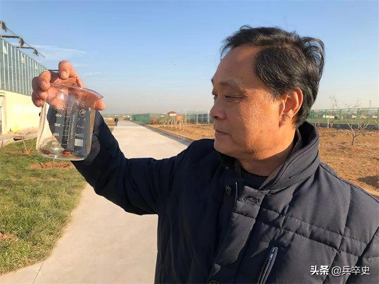 养蟑螂年入百亿,养8亿蟑螂年入百亿