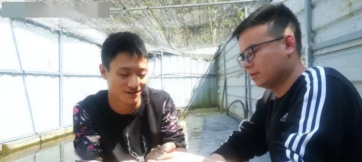 【散文】雅安山中寻石蛙‖金雅春