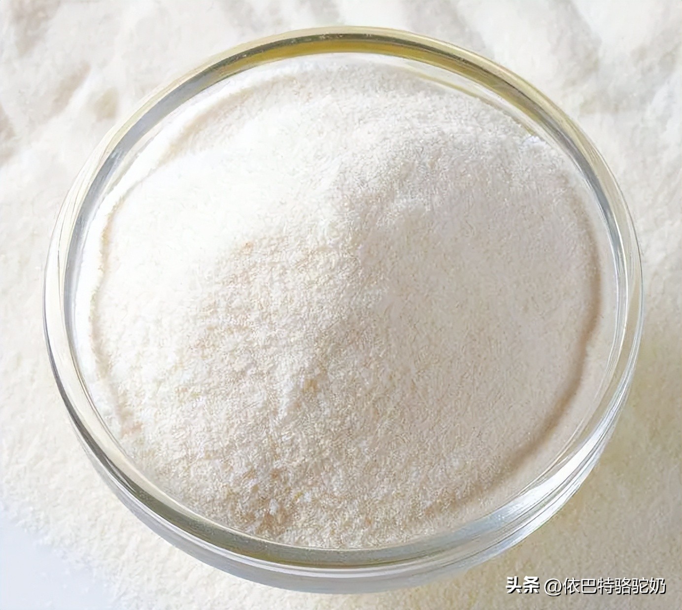 依巴特纯驼奶粉怎么样,依巴特驼奶粉是正宗驼奶吗