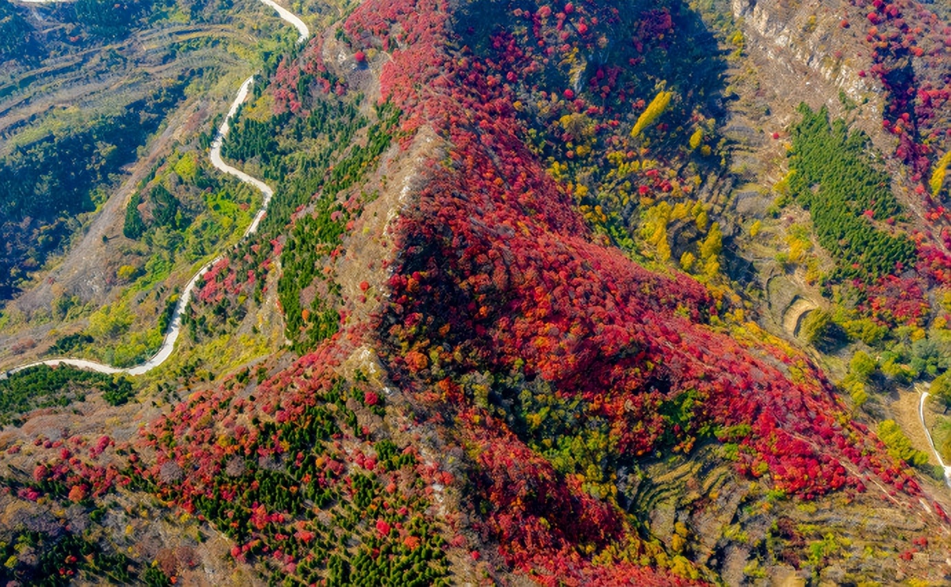 济南赏秋,秋天济南去哪里赏秋最好