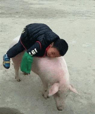 这衣服怎么穿内衣呀?不穿内衣怎么挺起来啊?