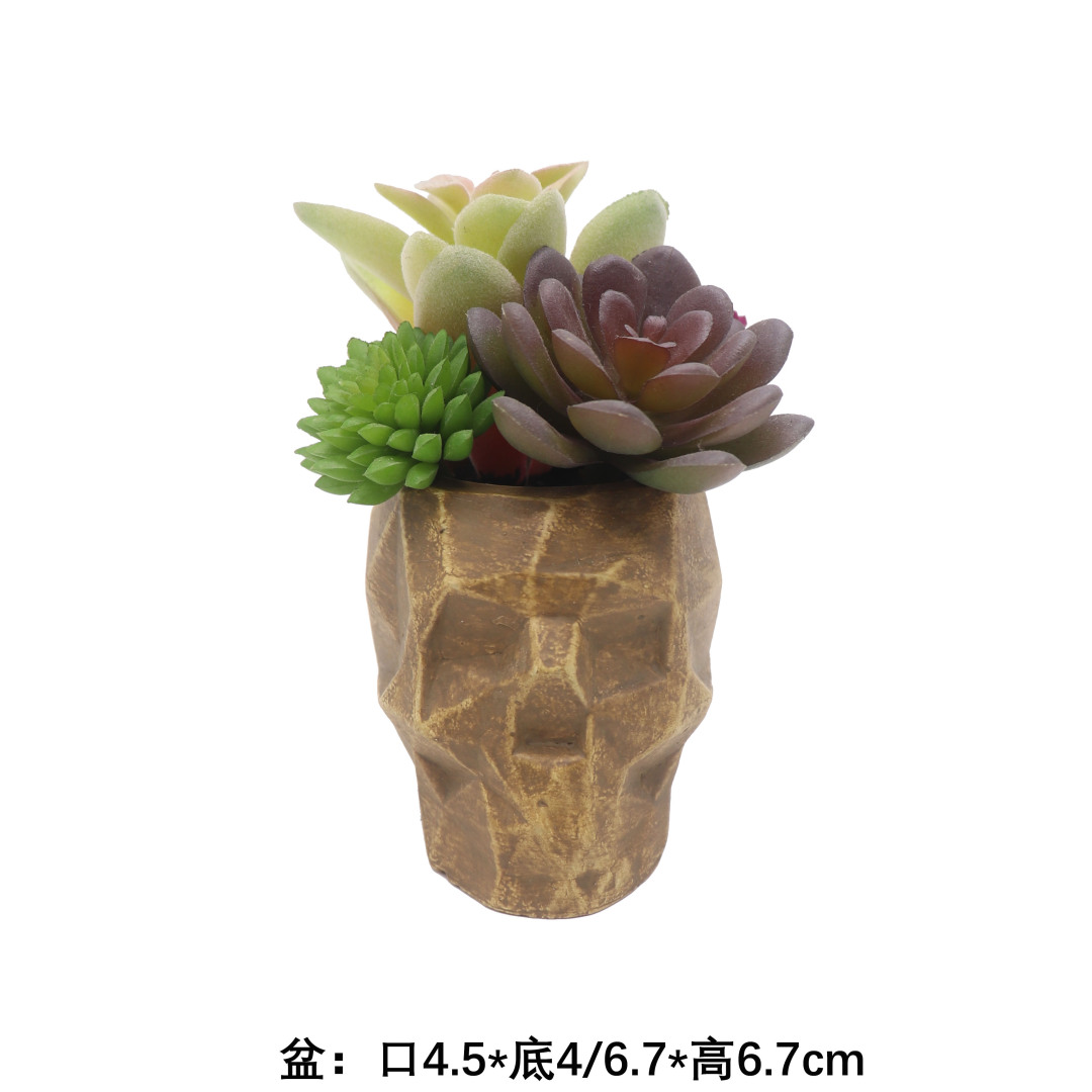 仿真的植物,仿真植物也有作用吗