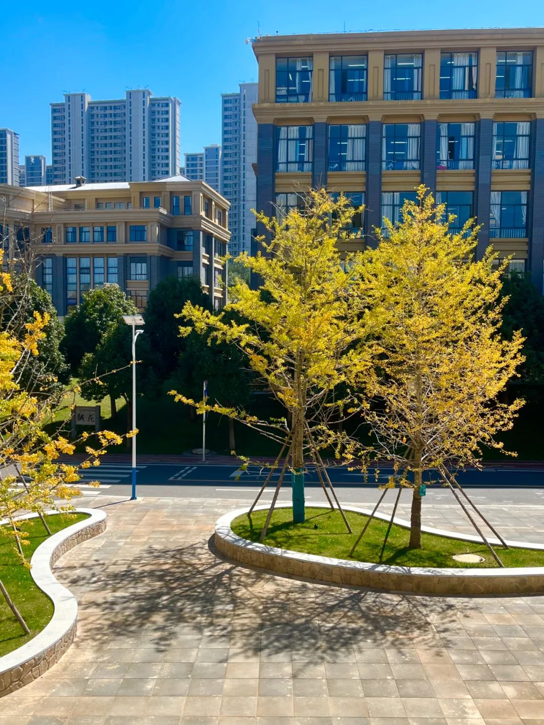 秋季限定|昆明九所学校，送你诗意校园里的一抹金