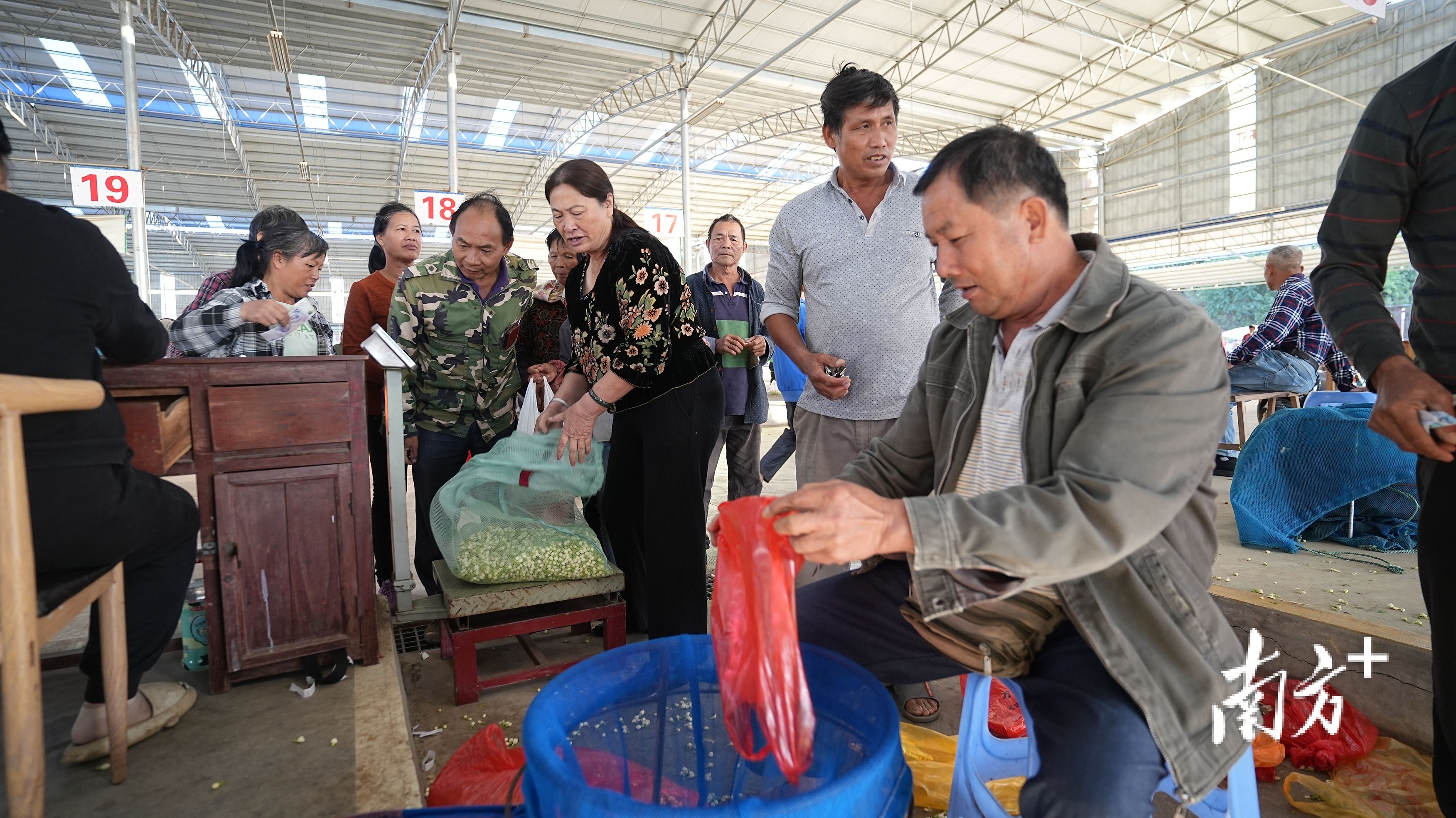 遇见横州：好一朵美丽的茉莉花｜中国十大茶王评比实地考察②