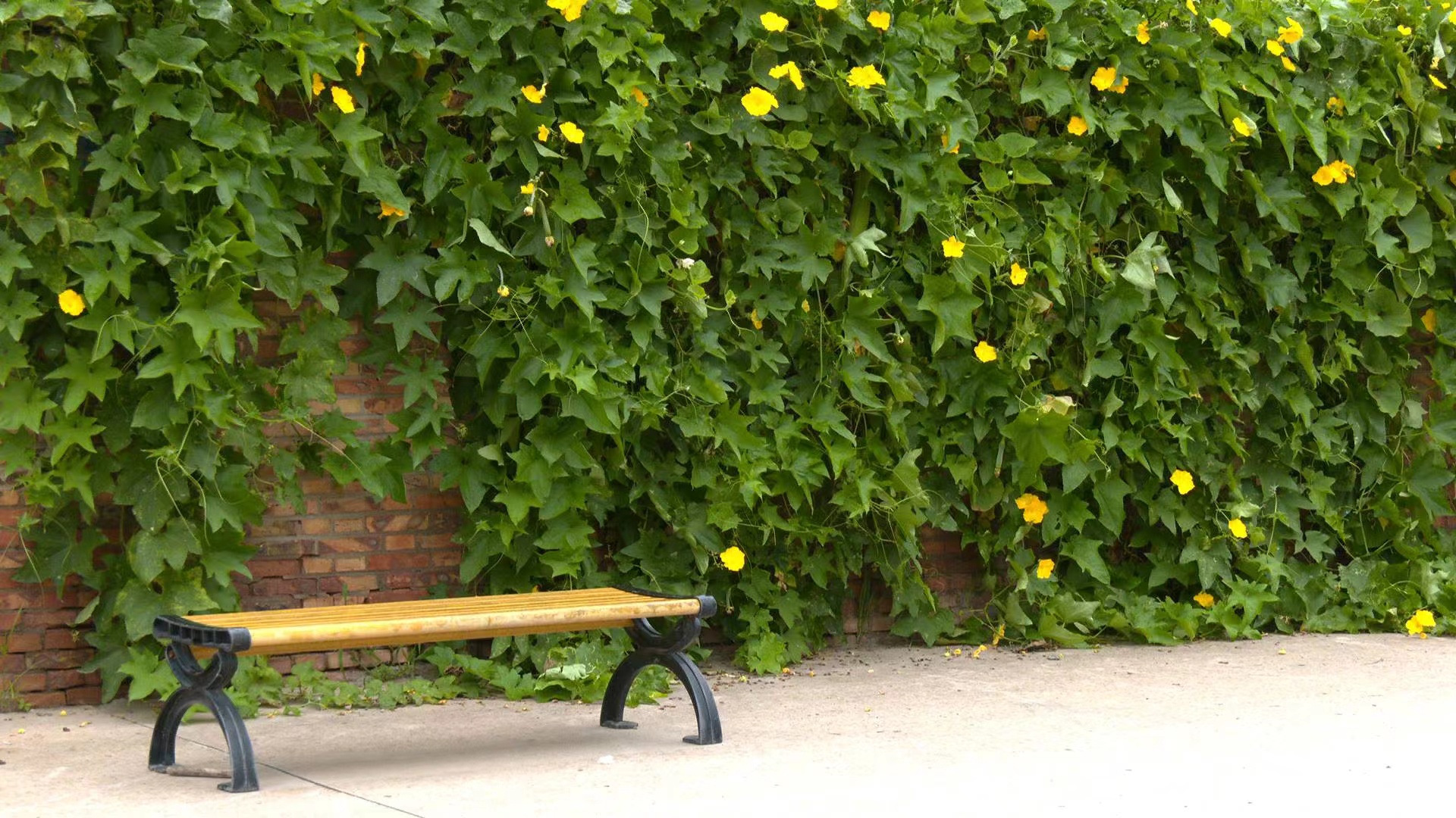 驻村第一书记是乡村振兴排头兵,驻村第一书记为乡村振兴赋能新闻