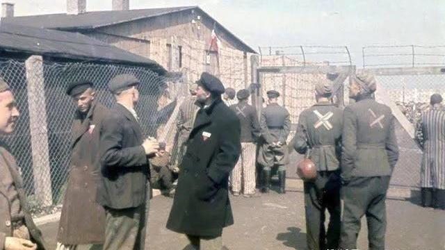 二战德国希姆莱,二战真实希姆莱