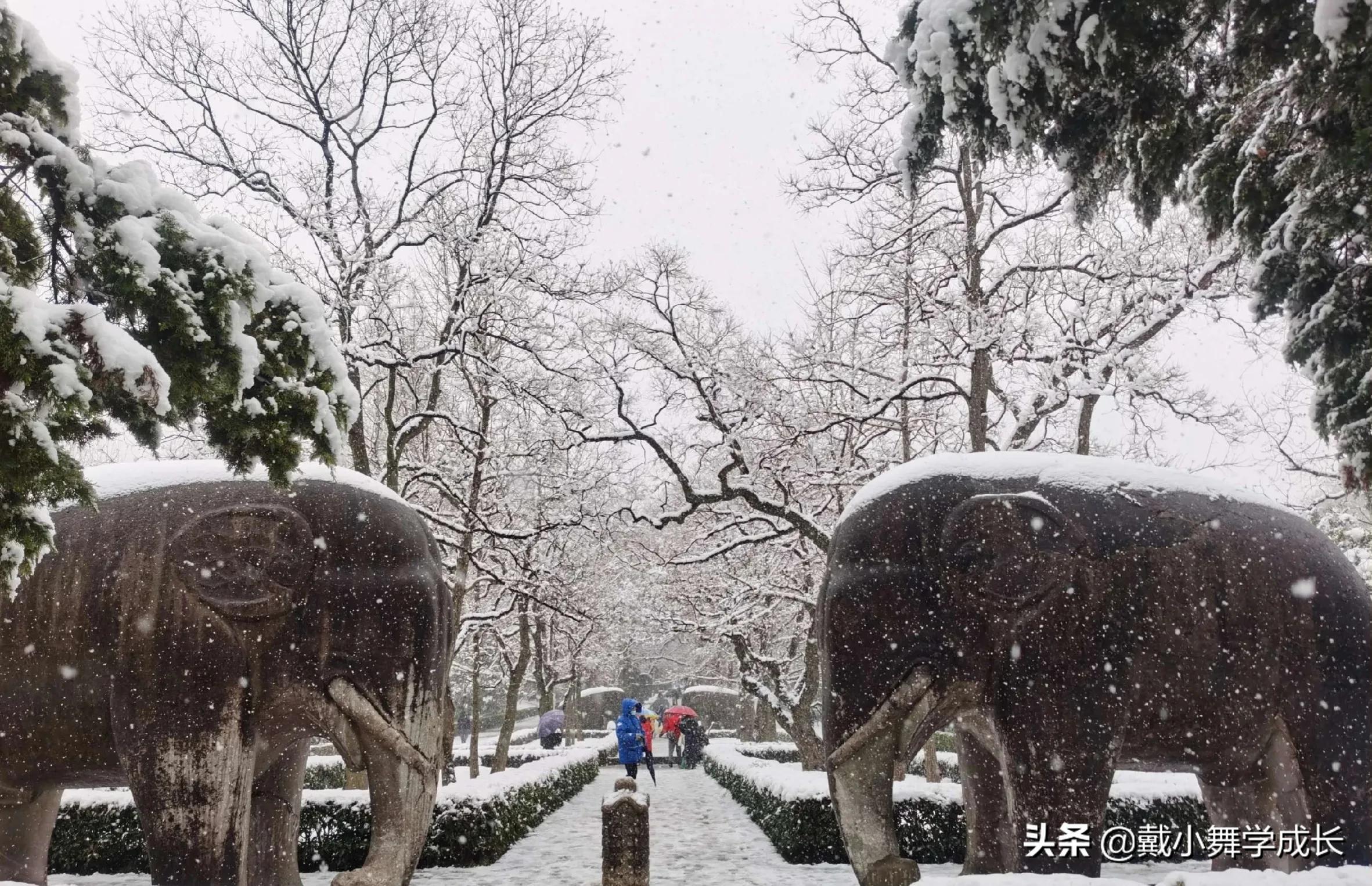 男足都有谁,男足与日本男足
