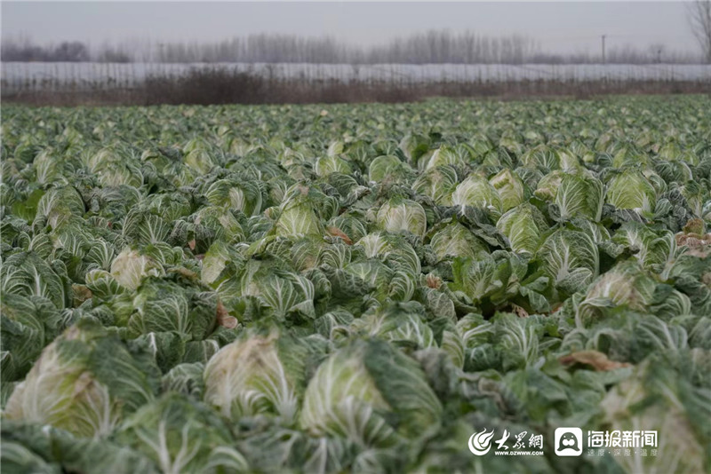 爱心接力捐赠75万,爱心接力六天