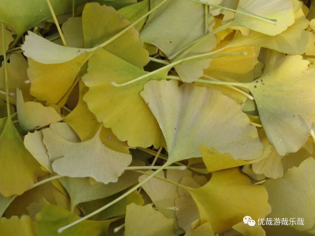 往事153韩国首都首尔印象