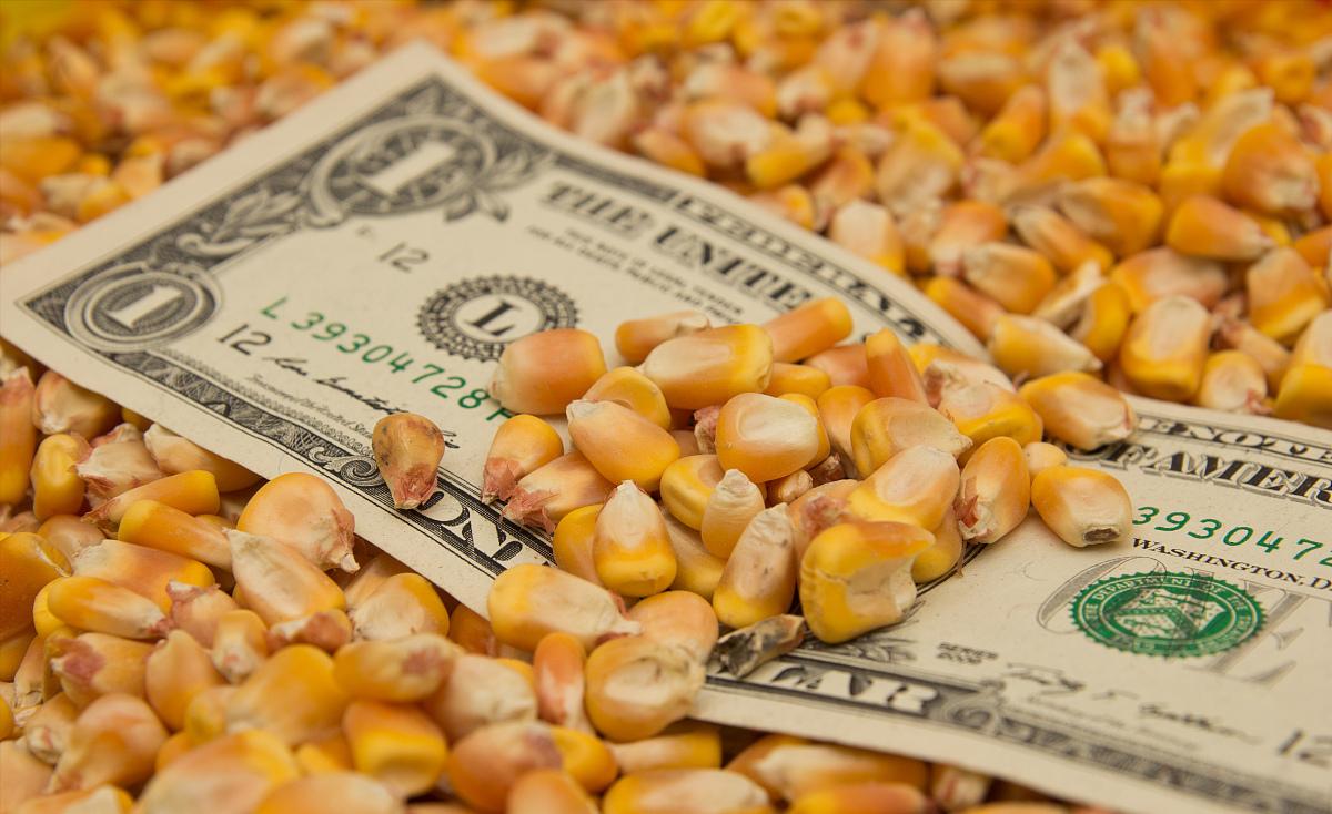 油价猪价最新消息,油价调整最新消息猪价