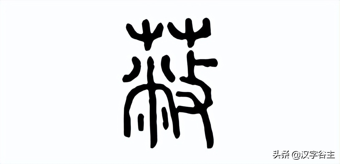 姹夊瓧妞嶇墿,鑽夋湪姹夊瓧