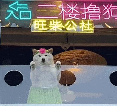 屏幕上出现五条白线什么意思,当屏幕出现五条虚线的时候