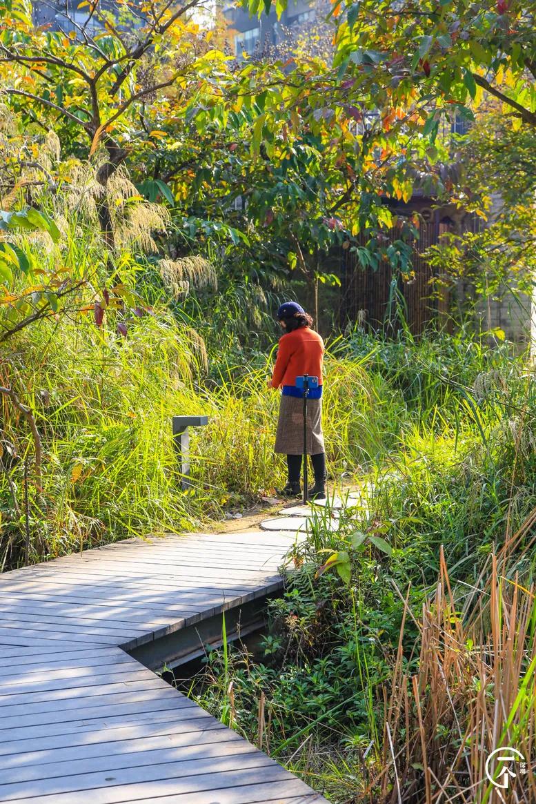 深圳4个绝美海岛,深圳值得游玩的小岛