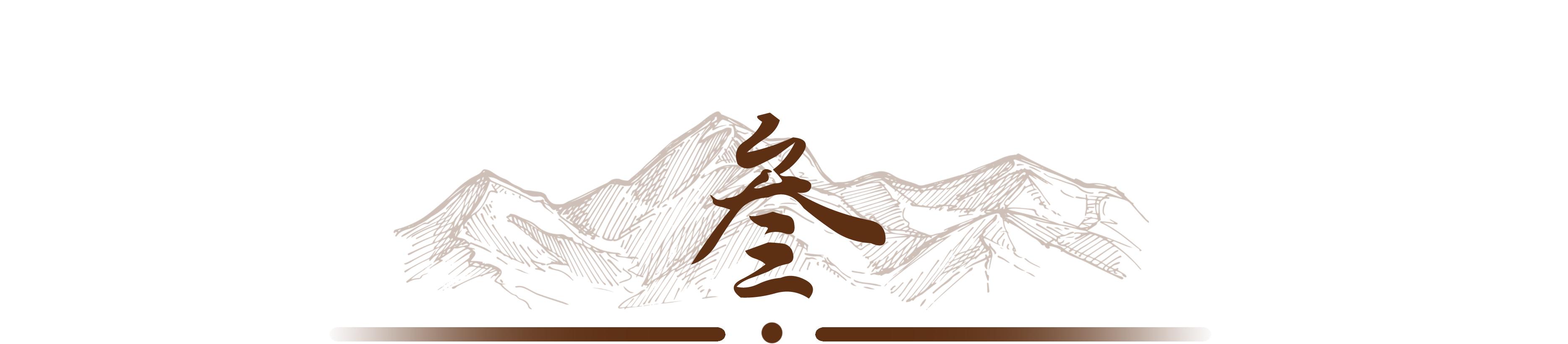 女白领十几年不买衣服,女白领二十年不买内衣