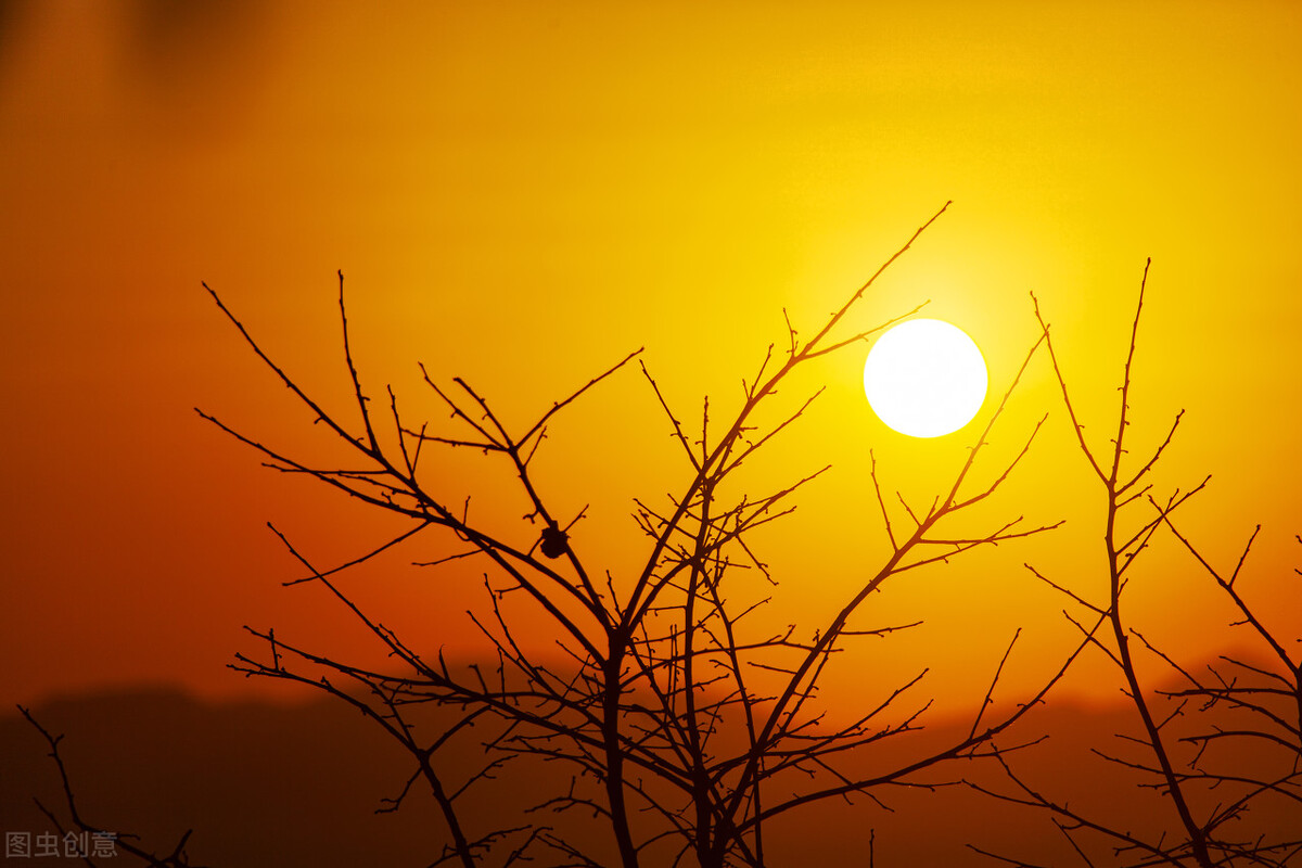 2020年元旦祝福经典短句,2022年元旦最经典祝福短信