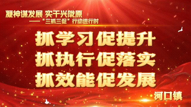 高桥镇拓宽农民增收致富渠道,河口乡村振兴添活力