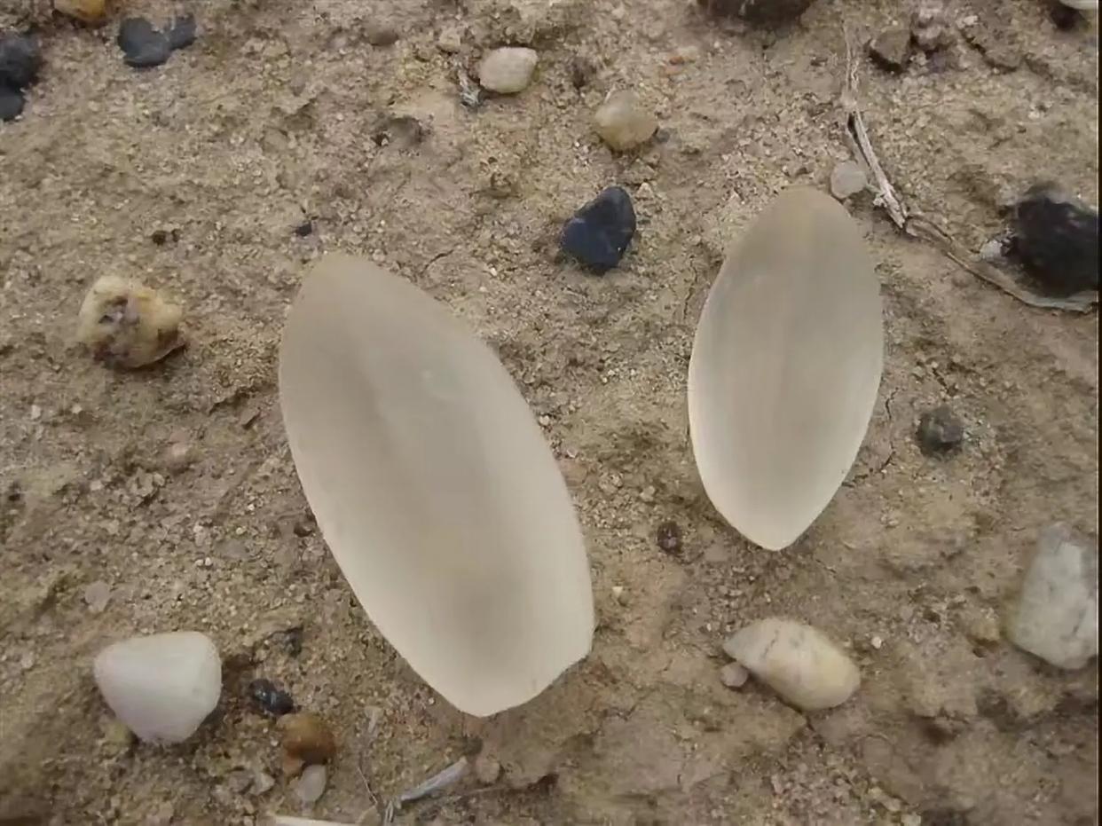 捡石头也能赚钱？*疆新**这9个地方让你秒变收藏家！