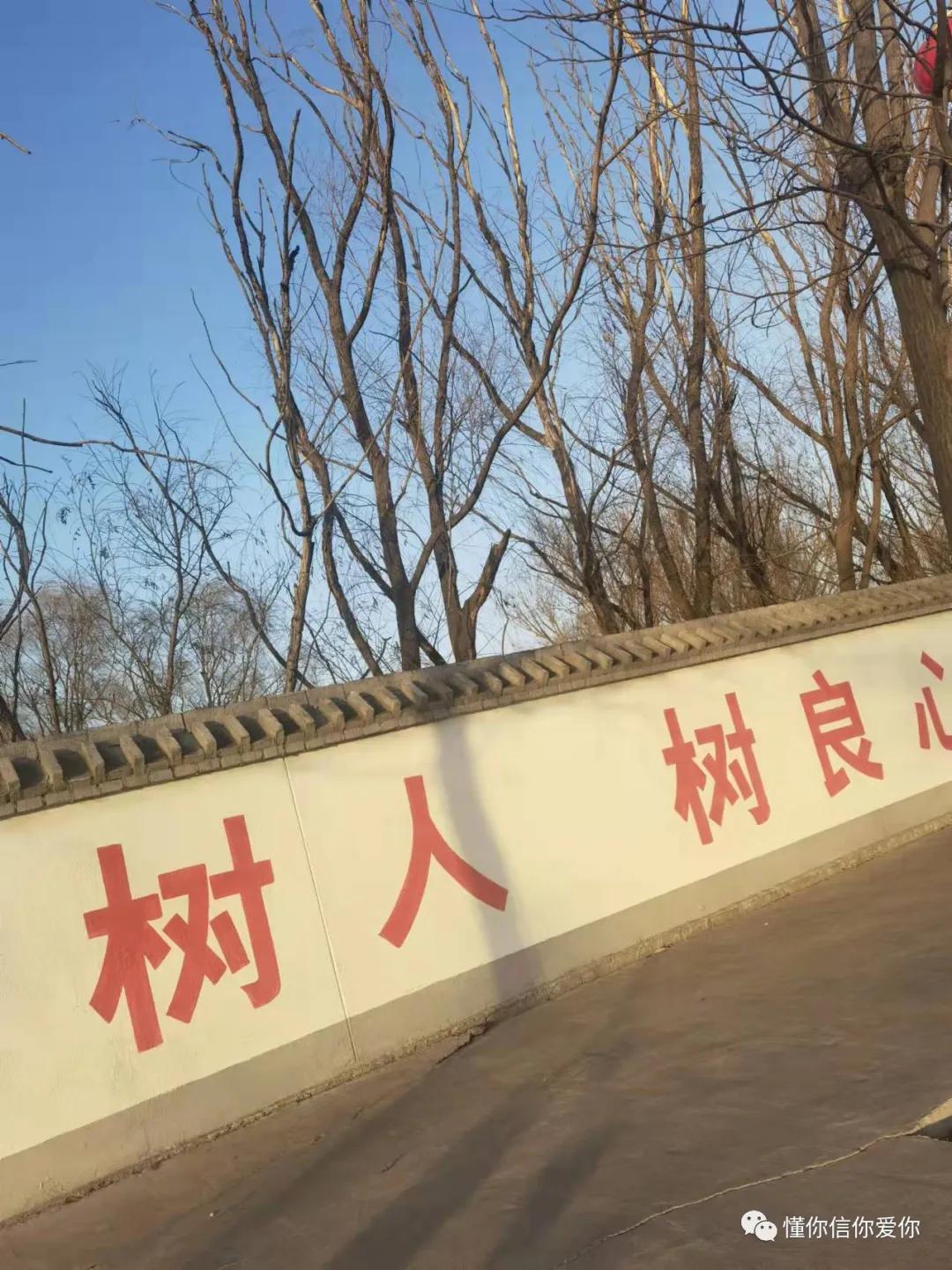 晋城大同教育,大同教育如何