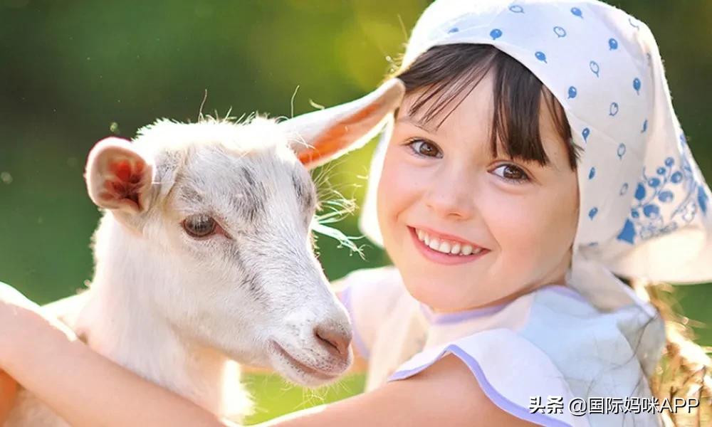 婴儿羊奶粉哪个牌子最好喝最营养,羊奶粉十大品牌奶粉排名