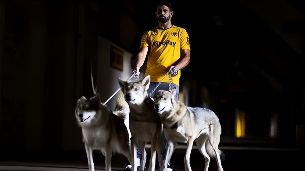 西班牙老将迭戈·科斯塔加盟狼队,迭戈科斯塔下赛季降金