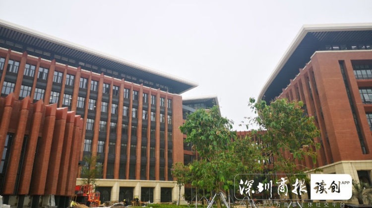 华南第一中山大学,中山大学广东人眼中的清华