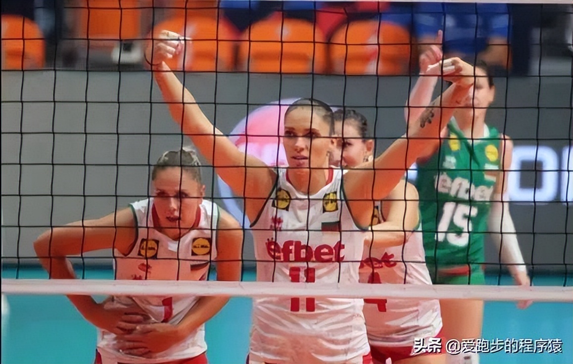 中国女排联赛外援最新名单,今年中国女排联赛引进的外援