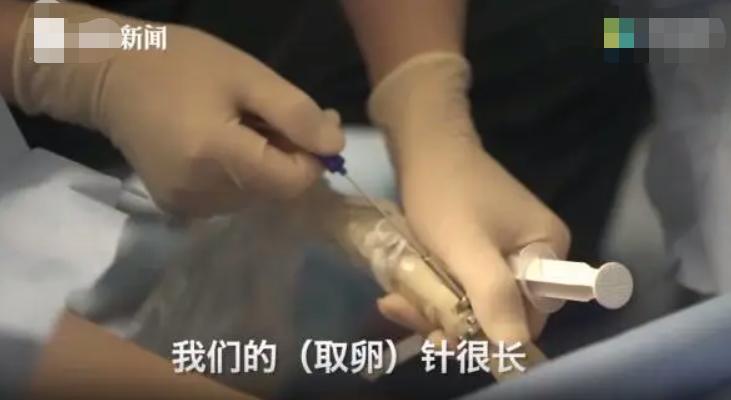 高校女厕中的高薪“兼职”，撕碎了多少女大学生遮羞布