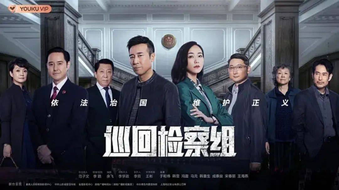 电视剧巡回检察组深度解析,巡回检察组电视剧为什么评分低