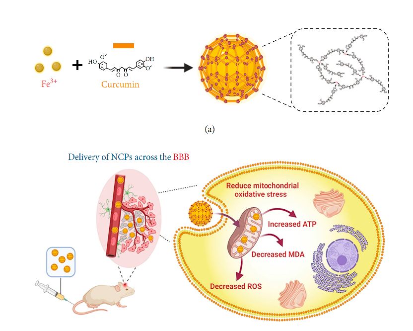 世界帕金森病日第28个主题,世界帕金森病日完整版