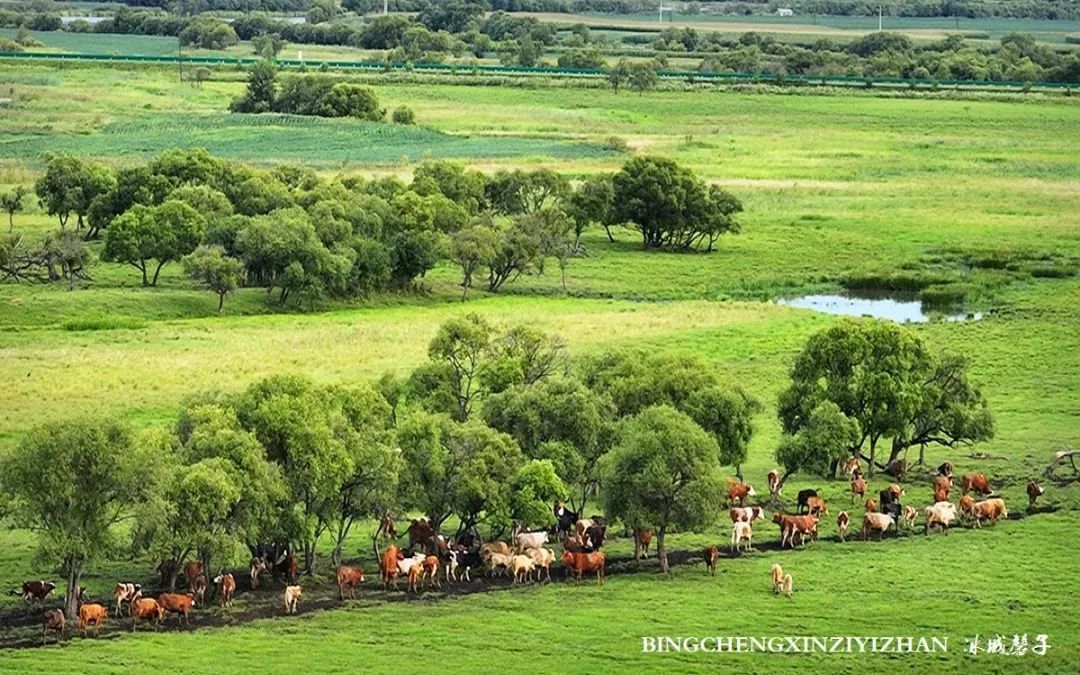 中俄边境线上的小城：逊克，披着“红珠绿边银装”的生态边城