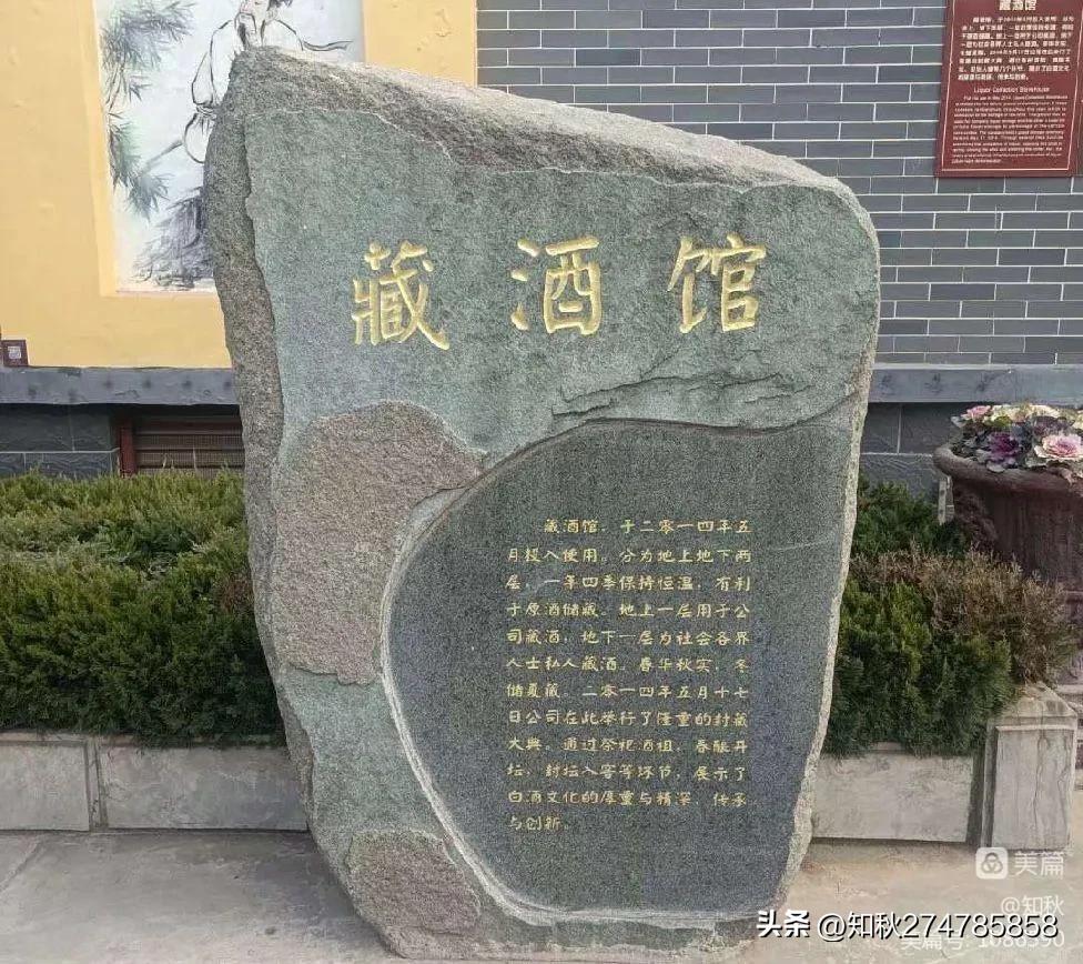 我与百脉泉酒的不解情缘