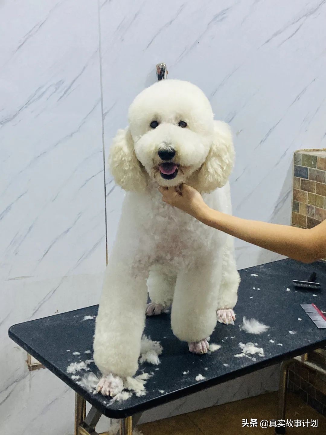 不工作在家里啃老的人,现在年轻人不工作在家啃老