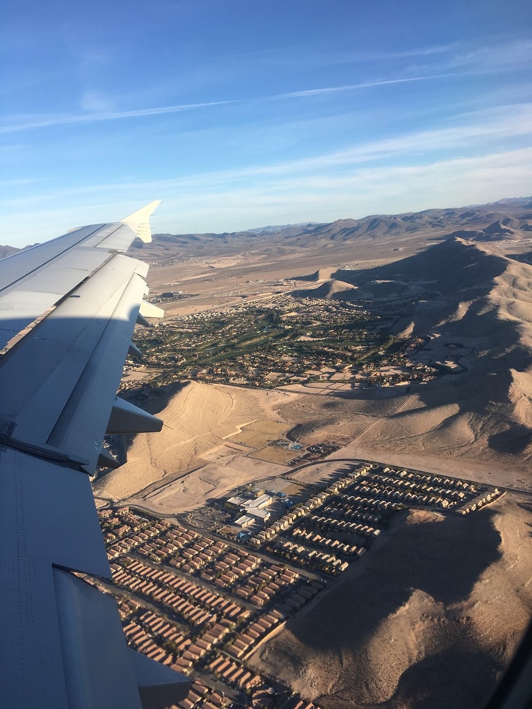 野果(富豪的遗嘱续集)