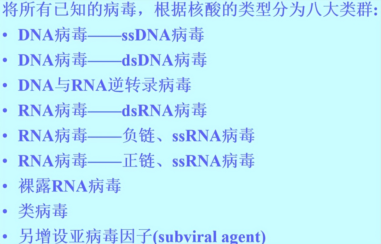 隐形战争困难模式,隐形战争最佳攻略