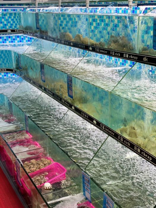 北海涠洲岛旅游最全攻略,广西北海涠洲岛绝美照片