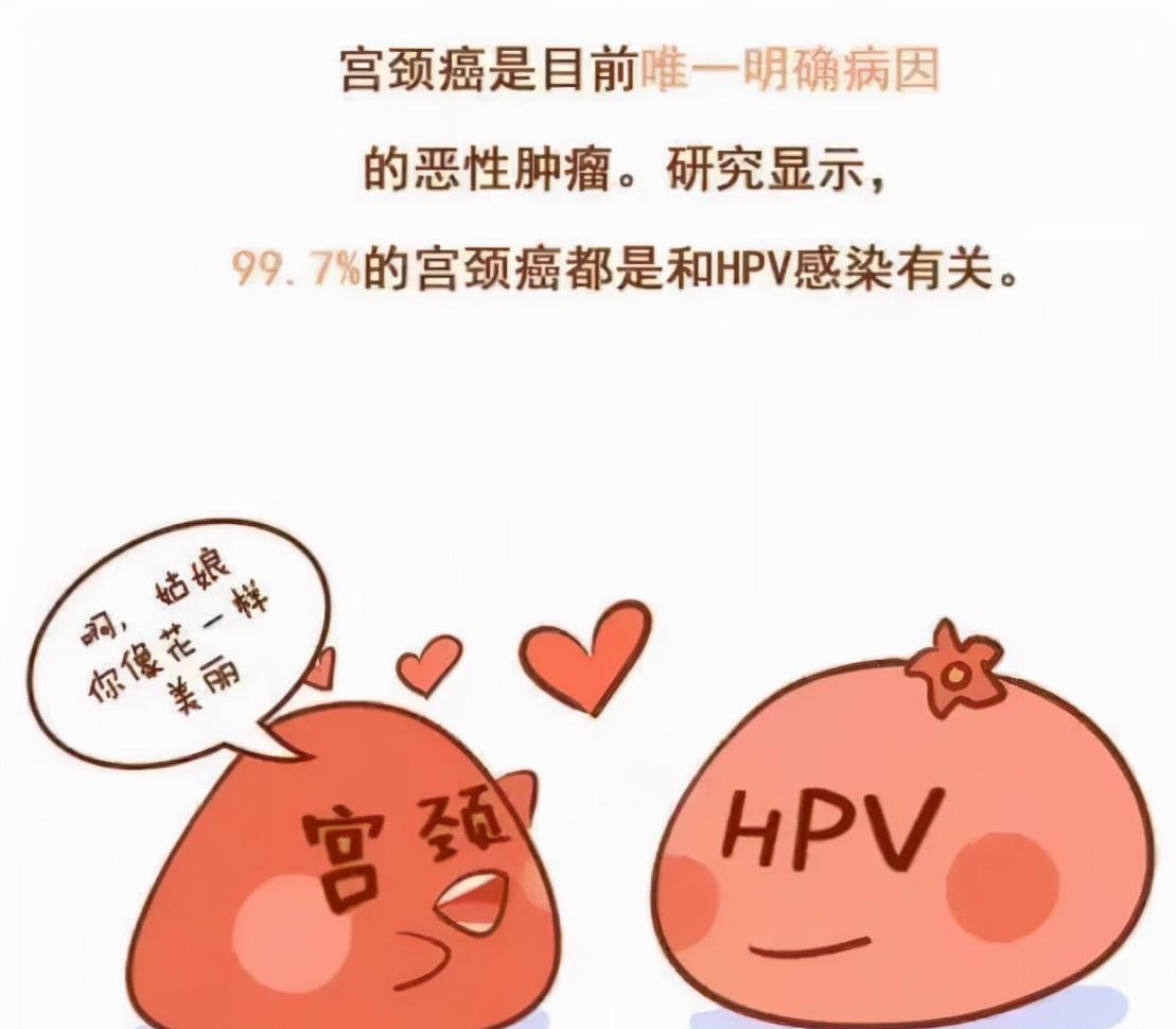 hpv长期不转阴可以做光动力吗,hpv一直不转阴99%都有这3点