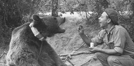 唯一参加过二战的棕熊与士兵训练,参加二战的俄罗斯熊