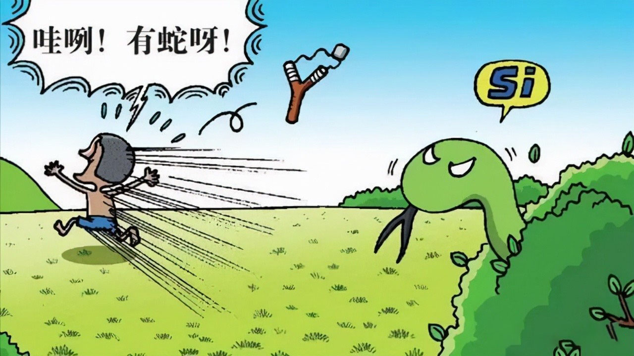 2013年，男孩与蟒蛇同居8年，蟒蛇趁人不注意跑到邻居女孩床上