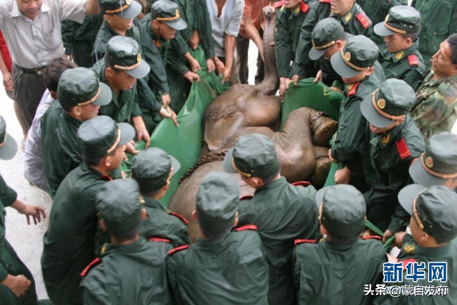 cop15大会高清图,cop15开幕完整版